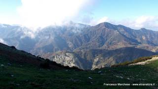 nte Scuderi-23-11-2014 09-49-08
